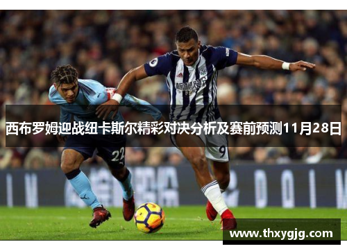 西布罗姆迎战纽卡斯尔精彩对决分析及赛前预测11月28日